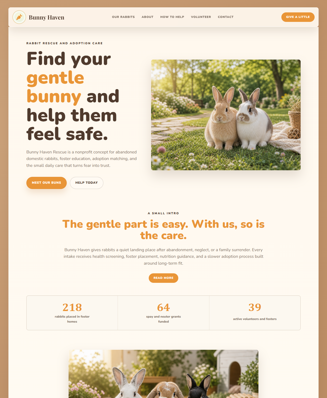 Bunny Haven Rescue redesigned website preview